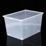Ящик для хранения с крышкой, 50 л, 53_38_30 см, цвет прозрачный