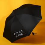 Зонт механический FCKNG WTHR, 8 спиц, d=95, цвет чёрный
