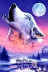 Белые волки лунной ночью