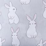 Постельное белье Этель 1,5 сп Cute rabbit 143х215 см, 150х214 см, 50х70 см -1 шт