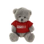 Softoy Игрушка мягкая Медведь в футболке, 15см