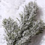 Декор "Веточка ели со снегом", размер 1 шт 23 см
