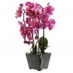 Цветочная композиция "Орхидея" 37см, в деревянном кашпо 11,5х11,5см h10см, цвет фуксия (Китай)