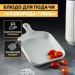 Блюдо из жаропрочной керамики для подачи Доляна «Сковорода-гриль», 23_16_3 см, цвет белый