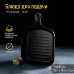 Блюдо из жаропрочной керамики для подачи Доляна «Сковорода-гриль», 23_16_3 см, цвет чёрный