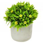 Цветочная композиция "Луговые цветы" 13,5 см, в керамическом горшочке д7,5 см h7 см, желтый, индивидуальная упаковка (Китай)