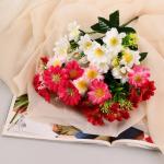 Букет "Астра бельгийская" 14 цветков, d-5 см h-30  см, микс
