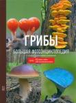 Кашпор Николай Николаевич Грибы. Большая фотоэнциклопедия 2-е издание