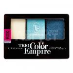 Тени Triumf Trio Color Empire тон 309