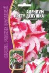 Адениум Прелестная Девушка 3шт (Ред.сем)