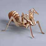 3D пазл "Юный гений": Собери муравья