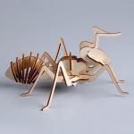 3D пазл "Юный гений": Собери муравья