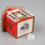 Ёлочная игрушка «Дом с оленем», от батареек, свечение тёплое белое