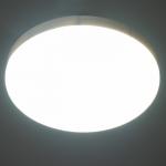 Светильник "Кинзия" LED 12Вт белый 22х22х4 см