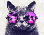 Кот в круглых очках с пальмами
