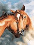 Любовь среди лошадей