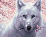 Белый волк с веточкой сакуры