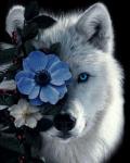 Белый голубоглазый волк и цветы