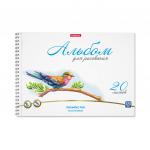Альбом для рисования на спирали ErichKrause® Birds, А4, 20 листов, микроперфорация