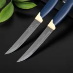Набор кухонный ножей для мяса Tramontina Multicolor, 2 предмета, лезвие 12,7 см