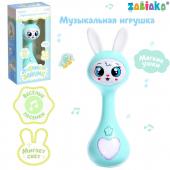 Музыкальная игрушка ZABIAKA