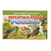 Обучающие карточки «Перелётные птицы России», 16 карточек