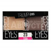 Тени для век Triumf Triumph Eyes палетка двойная 2 оттенка, олотистый беж и сепия, тон 23